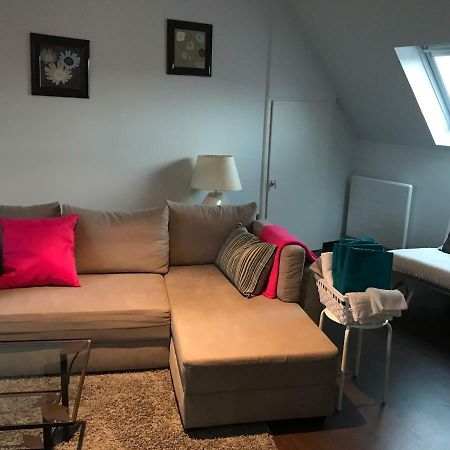 Appartement Avec Garage Colmar Centre Historique 외부 사진