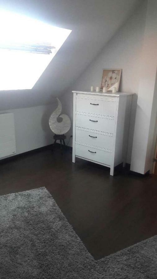 Appartement Avec Garage Colmar Centre Historique 외부 사진